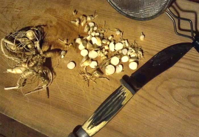 Slicing ginseng root for honey