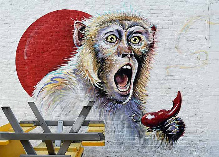 Street art - monkey with cayenne pepper