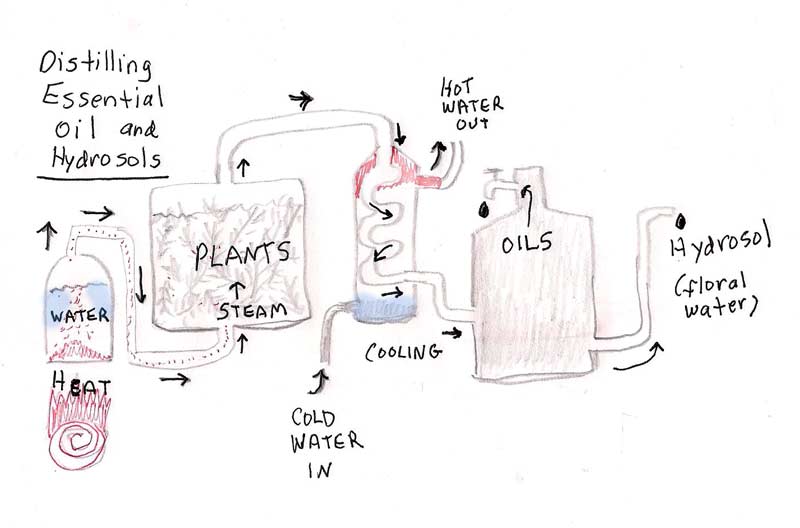 Diagram of distilling process