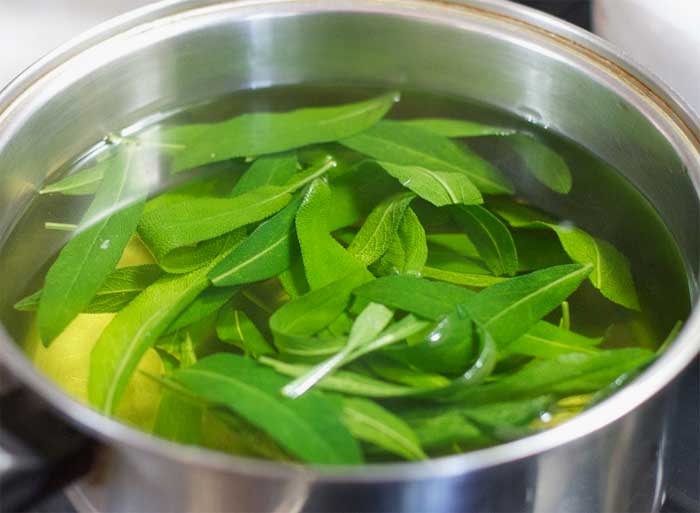 Sage leaves in a pot of water for tea