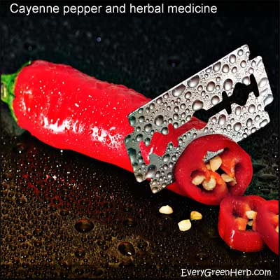 Cayenne pepper in herbal medicine