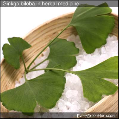Ginkgo biloba helps heal the nerves.