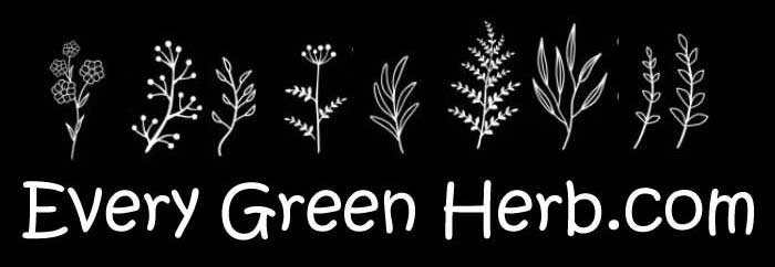 Every Green Herb