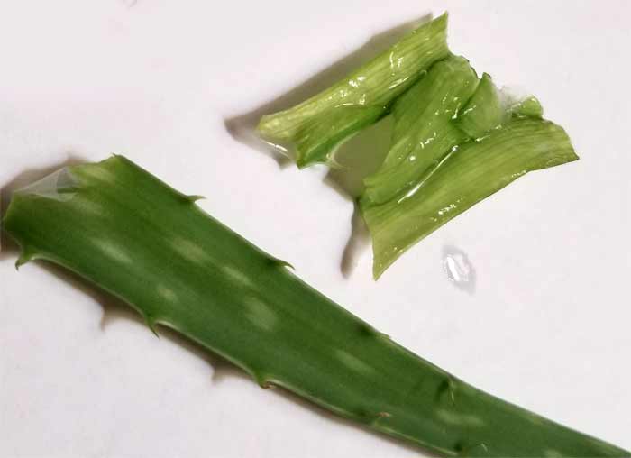 Aloe Vera leaf cut open to reveal gel
