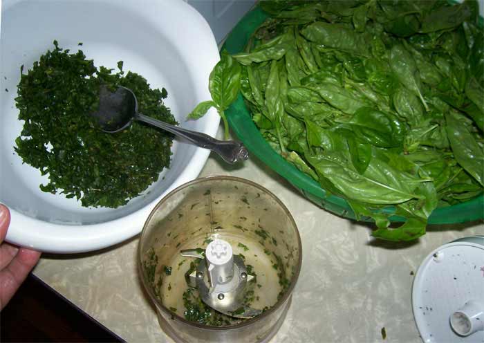 Making pesto on Payne Mountain Farms