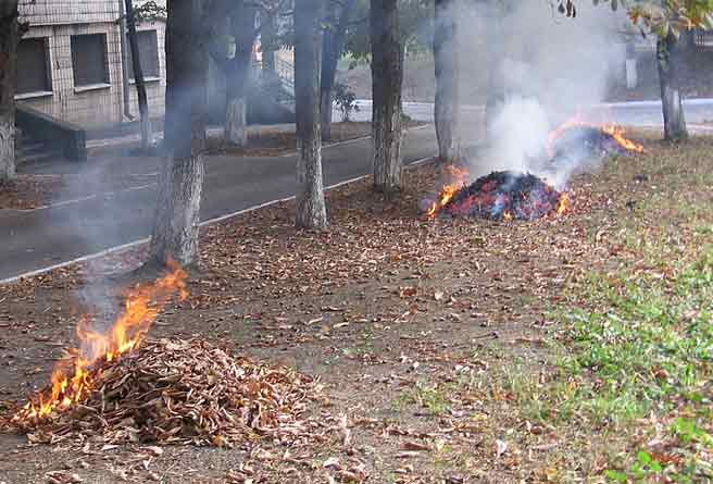 Burning leaves 