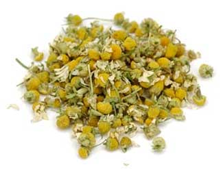 Chamomile flowers for tea