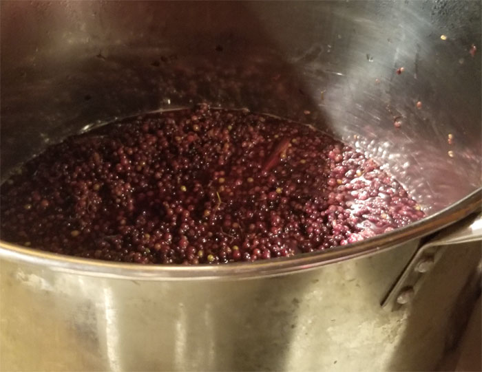 Simmering elderberries in a pot