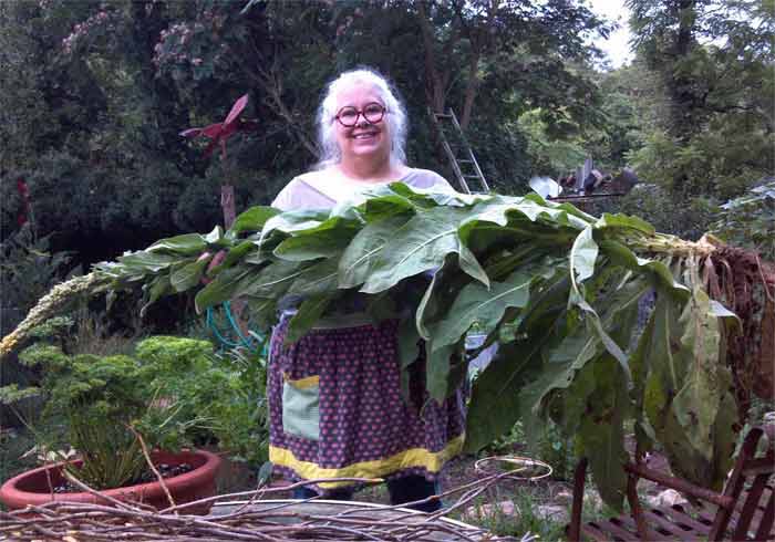 Herbalist Janice Boling with a mullein plant