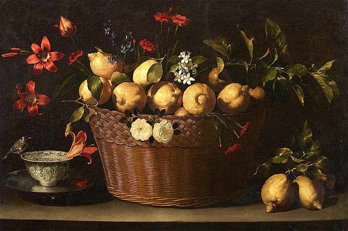 still life with lemons