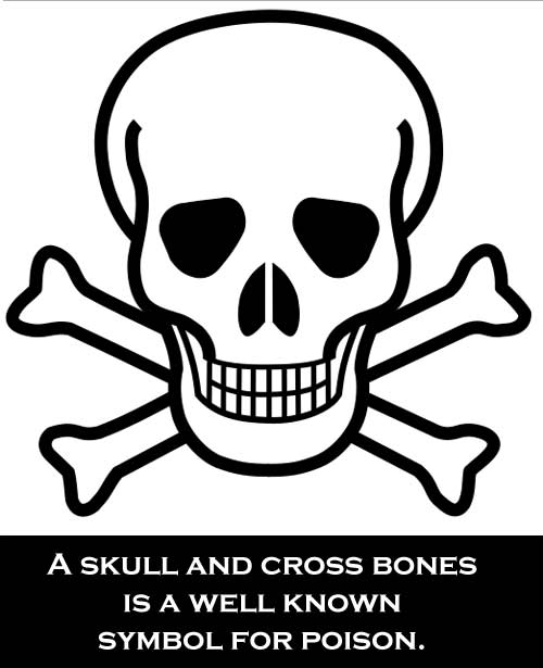 Skull and Cross Bones