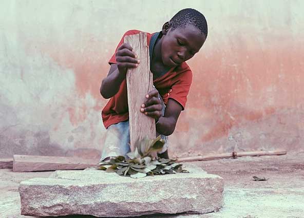 Man pounds dried herb to make powder for medicine