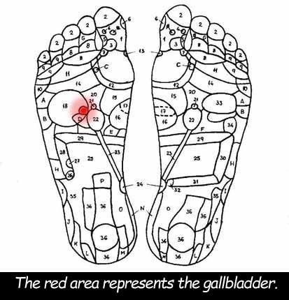 Reflexology chart