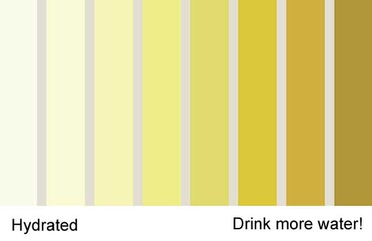 Urine color chart