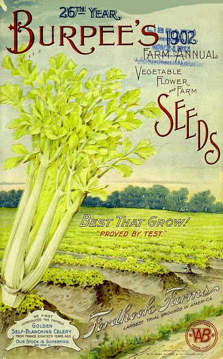 Burpees Seed cataloge featuring celery 