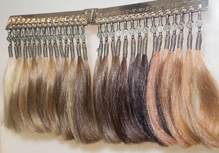 sample of different hair colors