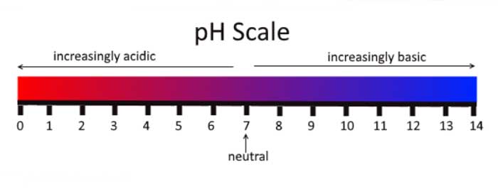 pH Scale