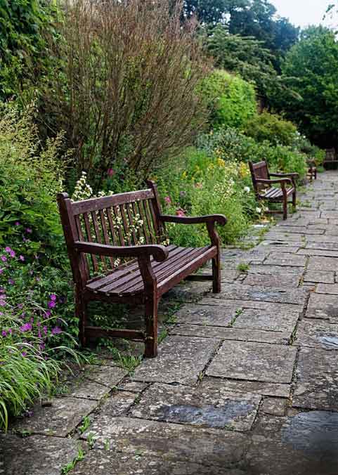 Shady garden with yellowroot, impatients, and a bench