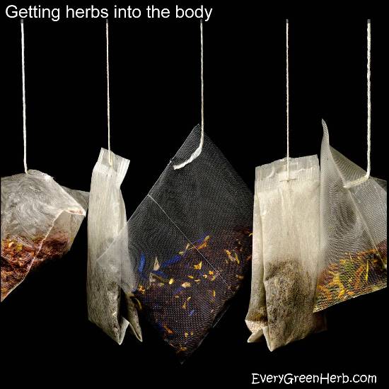 Herbal tea bags on strings