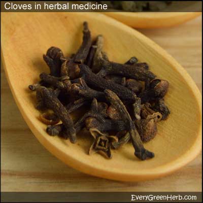 A spoonful of whole cloves