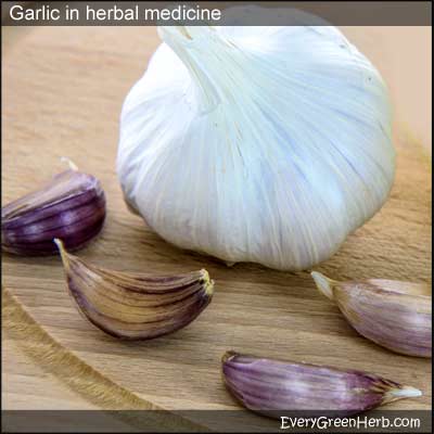 Garlic helps build up immunity.