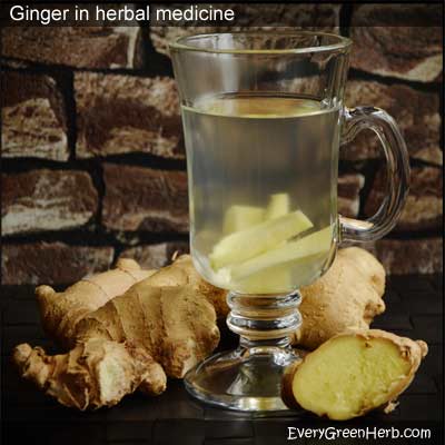 Ginger helps stop nausea.