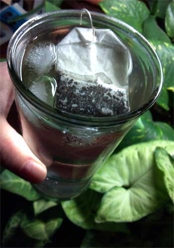 Herbal tea with ice