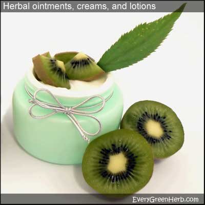 Homemade herbal cream with kiwi