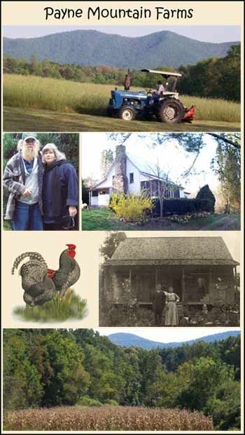 Payne Mountain Farms collage